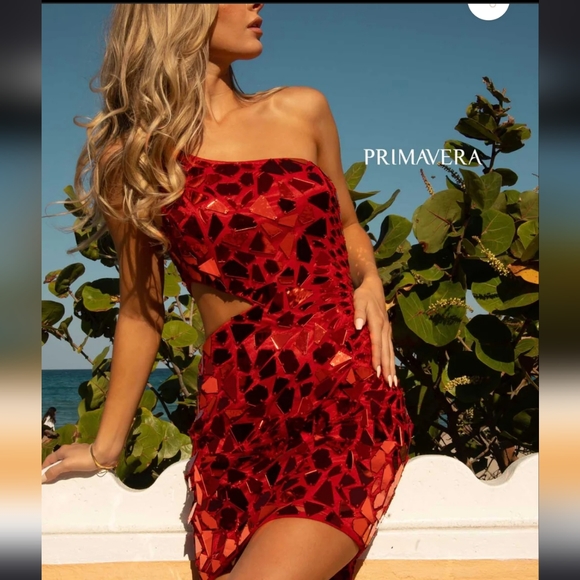 Primavera Red Cut Glass Dress - Picture 2 of 13